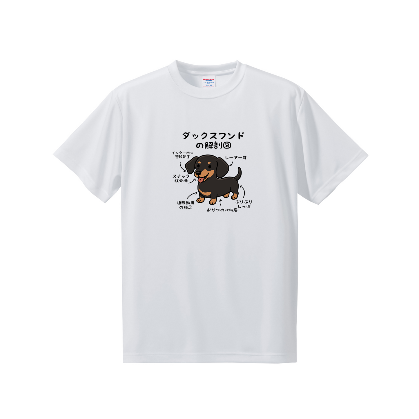 犬tシャツ ドライTシャツ シルキータッチTシャツ いぬ 犬イラスト おもしろ tシャツ 犬  ダックスフンドの解剖図