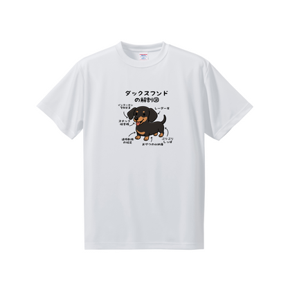犬tシャツ ドライTシャツ シルキータッチTシャツ いぬ 犬イラスト おもしろ tシャツ 犬  ダックスフンドの解剖図