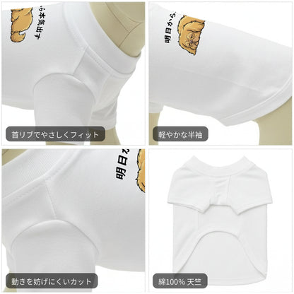 ペキニーズ犬デザイン 犬用Tシャツ ワンちゃんTシャツ 犬服 柴犬Tシャツ｜綿100%・小型～中型犬