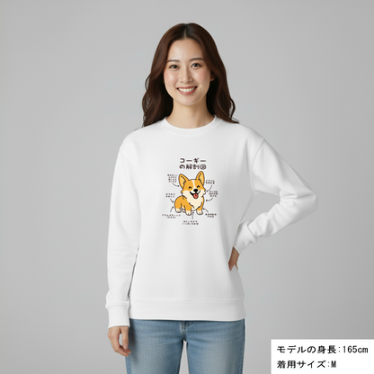 犬 トレーナー いぬ かわいい 犬イラストコーギーの解剖図