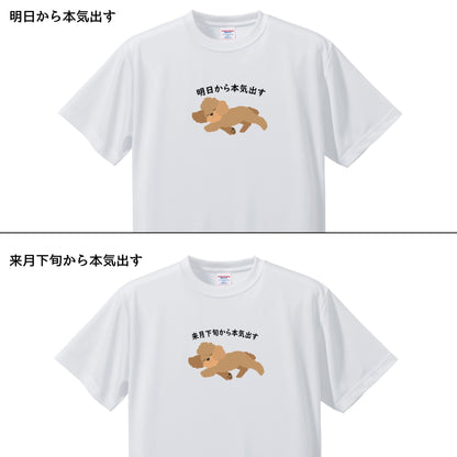 犬tシャツ ドライTシャツ シルキータッチTシャツ いぬ 犬イラスト おもしろ tシャツ プードル犬 明日から本気出す/ 来月下旬から本気出す