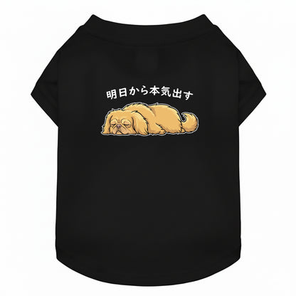 ペキニーズ犬デザイン 犬用Tシャツ ワンちゃんTシャツ 犬服 柴犬Tシャツ｜綿100%・小型～中型犬