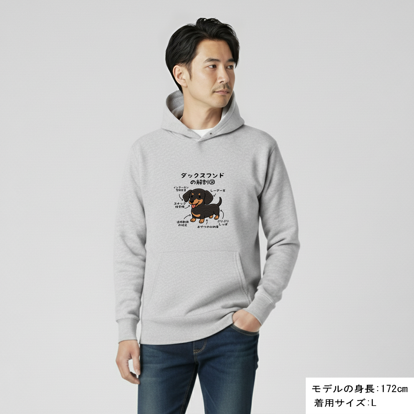 犬 パーカー 犬イラスト いぬ かわいい ダックスフンドの解剖図