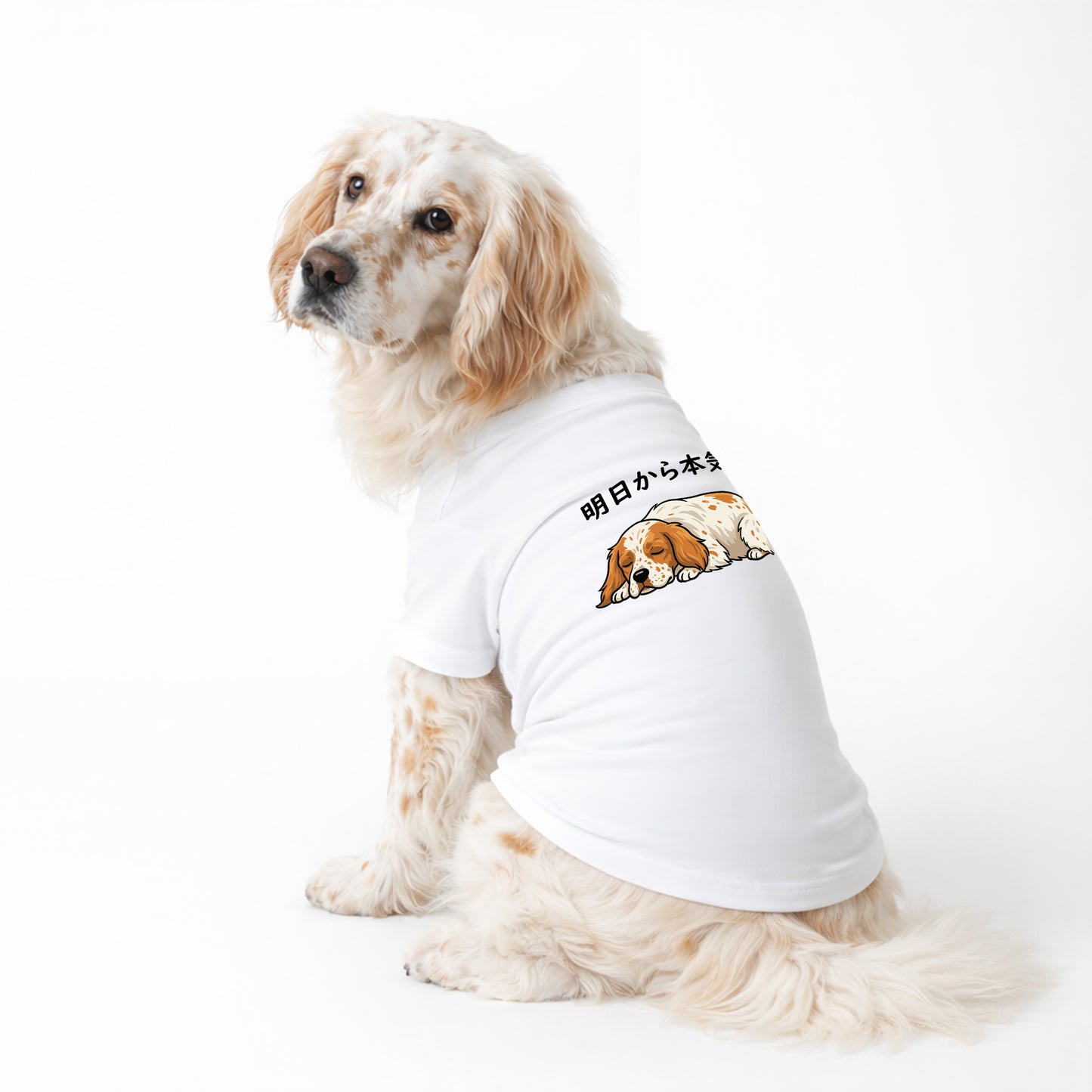 イングリッシュ・セター 犬用Tシャツ ワンちゃんTシャツ 犬服 柴犬Tシャツ｜綿100%・小型～中型犬