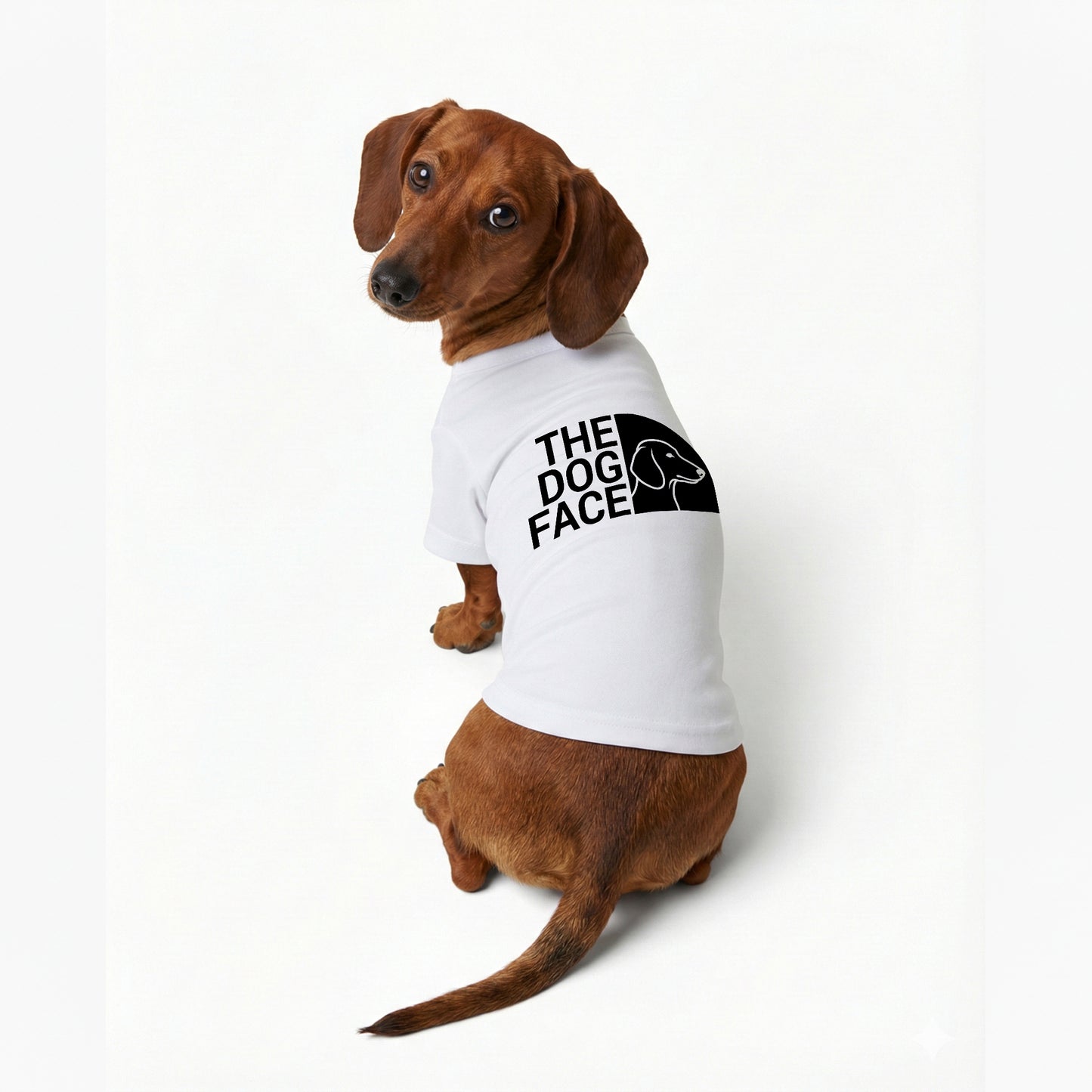 THE DOG FACE Dáchhun デザイン 犬用Tシャツ ワンちゃんTシャツ 犬服 柴犬Tシャツ｜綿100%・小型～中型犬