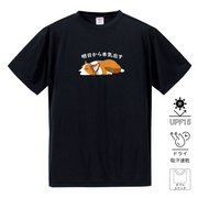 犬tシャツ ドライTシャツ シルキータッチTシャツ いぬ 犬イラスト おもしろ tシャツ コーギー犬 明日から本気出す/ 来月下旬から本気出す