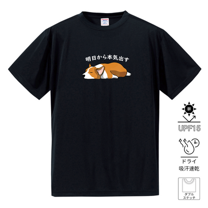 犬tシャツ ドライTシャツ シルキータッチTシャツ いぬ 犬イラスト おもしろ tシャツ Corgi犬 明日から本気出す/ 来月下旬から本気出す