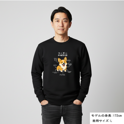 犬 トレーナー いぬ かわいい 犬イラストコーギーの解剖図