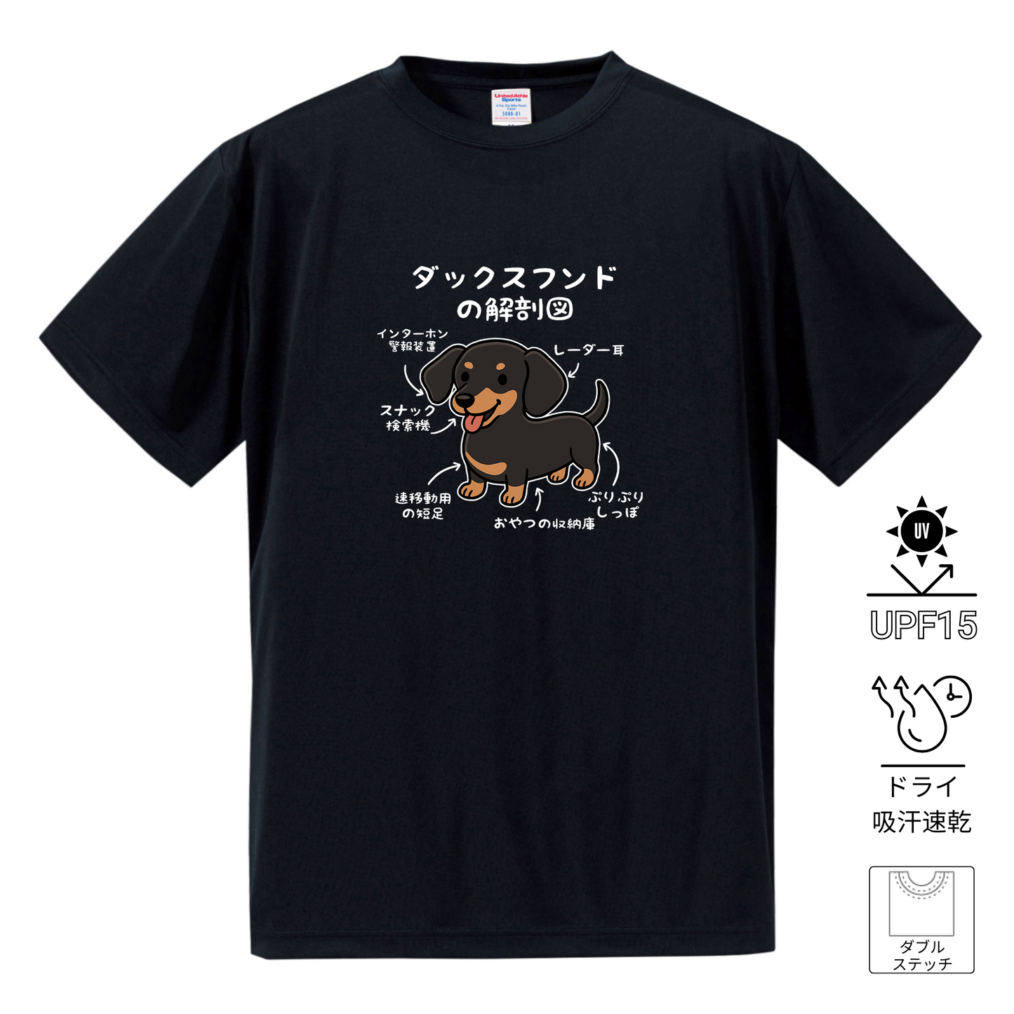 犬tシャツ ドライTシャツ シルキータッチTシャツ いぬ 犬イラスト おもしろ tシャツ 犬  ダックスフンドの解剖図