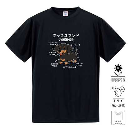 犬tシャツ ドライTシャツ シルキータッチTシャツ いぬ 犬イラスト おもしろ tシャツ 犬  ダックスフンドの解剖図