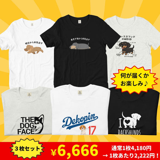 【お得な福袋】 わんダフル夏の福袋(3枚セット)《犬類が選べる、犬デザインのランダム》)