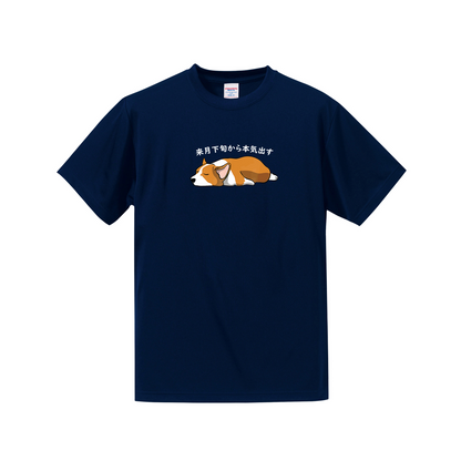 犬tシャツ ドライTシャツ シルキータッチTシャツ いぬ 犬イラスト おもしろ tシャツ Corgi犬 明日から本気出す/ 来月下旬から本気出す