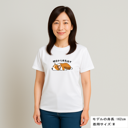 犬tシャツ ドライTシャツ シルキータッチTシャツ いぬ 犬イラスト おもしろ tシャツ Corgi犬 明日から本気出す/ 来月下旬から本気出す