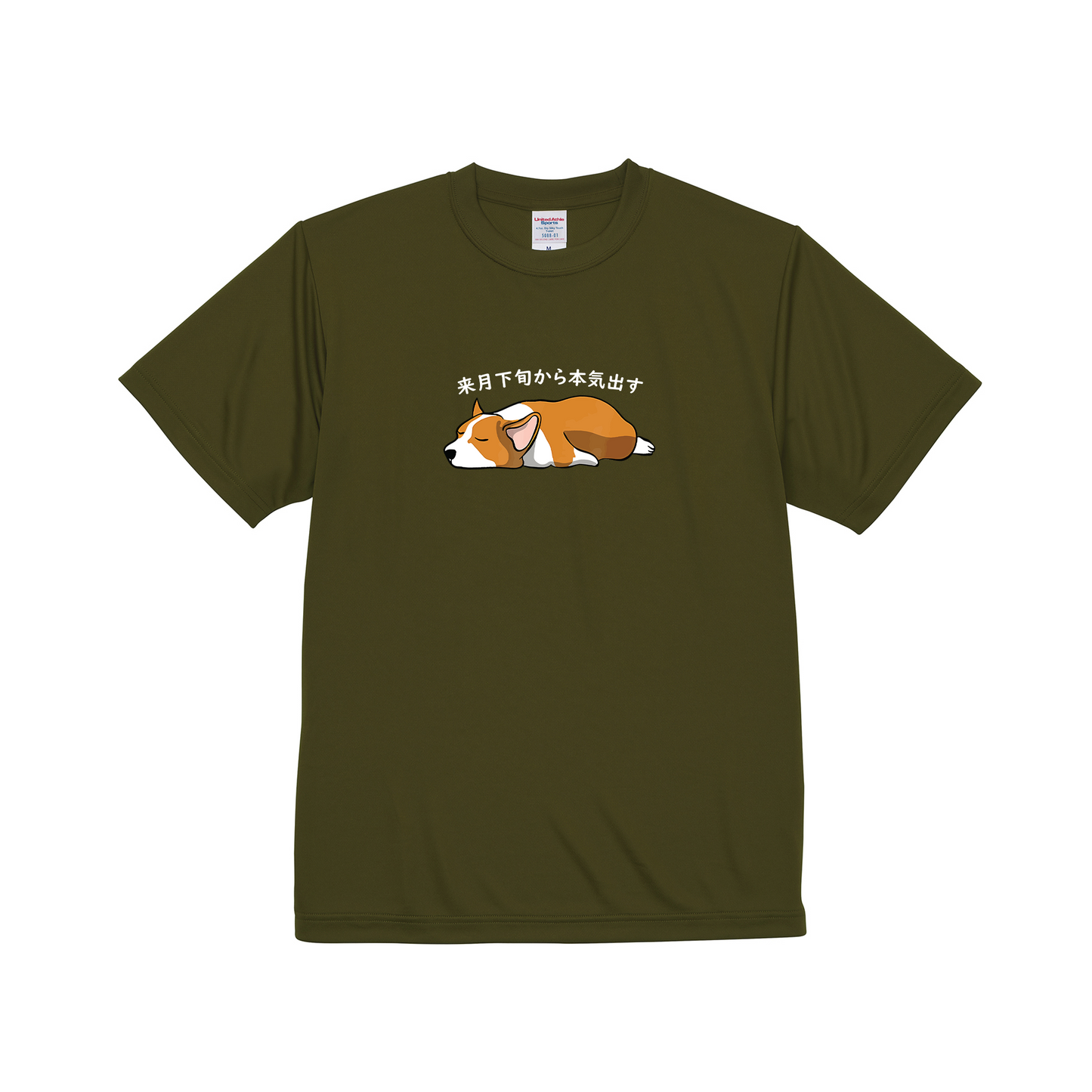 犬tシャツ ドライTシャツ シルキータッチTシャツ いぬ 犬イラスト おもしろ tシャツ Corgi犬 明日から本気出す/ 来月下旬から本気出す