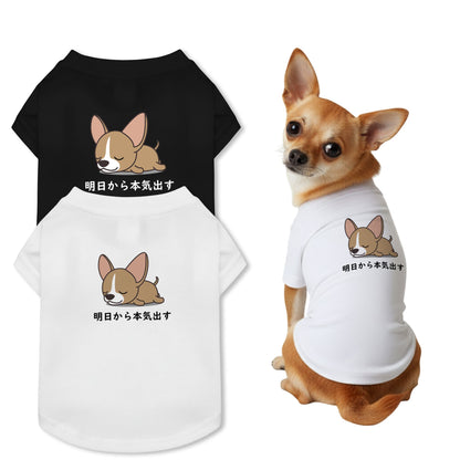 【犬種選べる・名前入れ可能】明日から本気だす 犬用Tシャツ 犬服｜綿100%・小型～中型犬