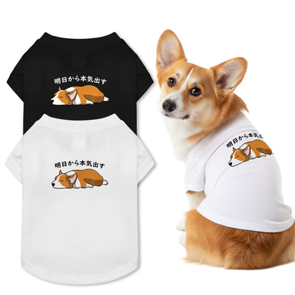 【犬種選べる・名前入れ可能】明日から本気だす 犬用Tシャツ 犬服｜綿100%・小型～中型犬