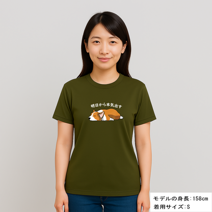 犬tシャツ ドライTシャツ シルキータッチTシャツ いぬ 犬イラスト おもしろ tシャツ Corgi犬 明日から本気出す/ 来月下旬から本気出す