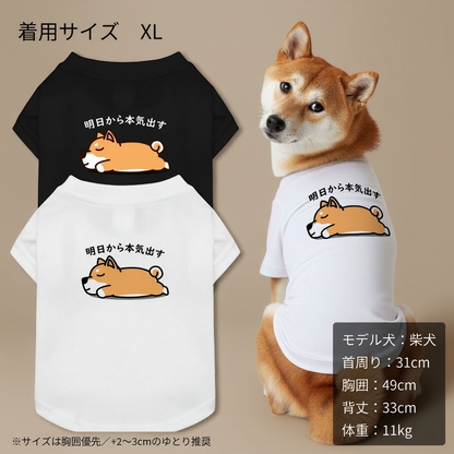 【犬種選べる・名前入れ可能】明日から本気だす 犬用Tシャツ 犬服｜綿100%・小型～中型犬