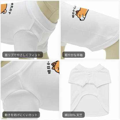 【犬種選べる・名前入れ可能】明日から本気だす 犬用Tシャツ 犬服｜綿100%・小型～中型犬