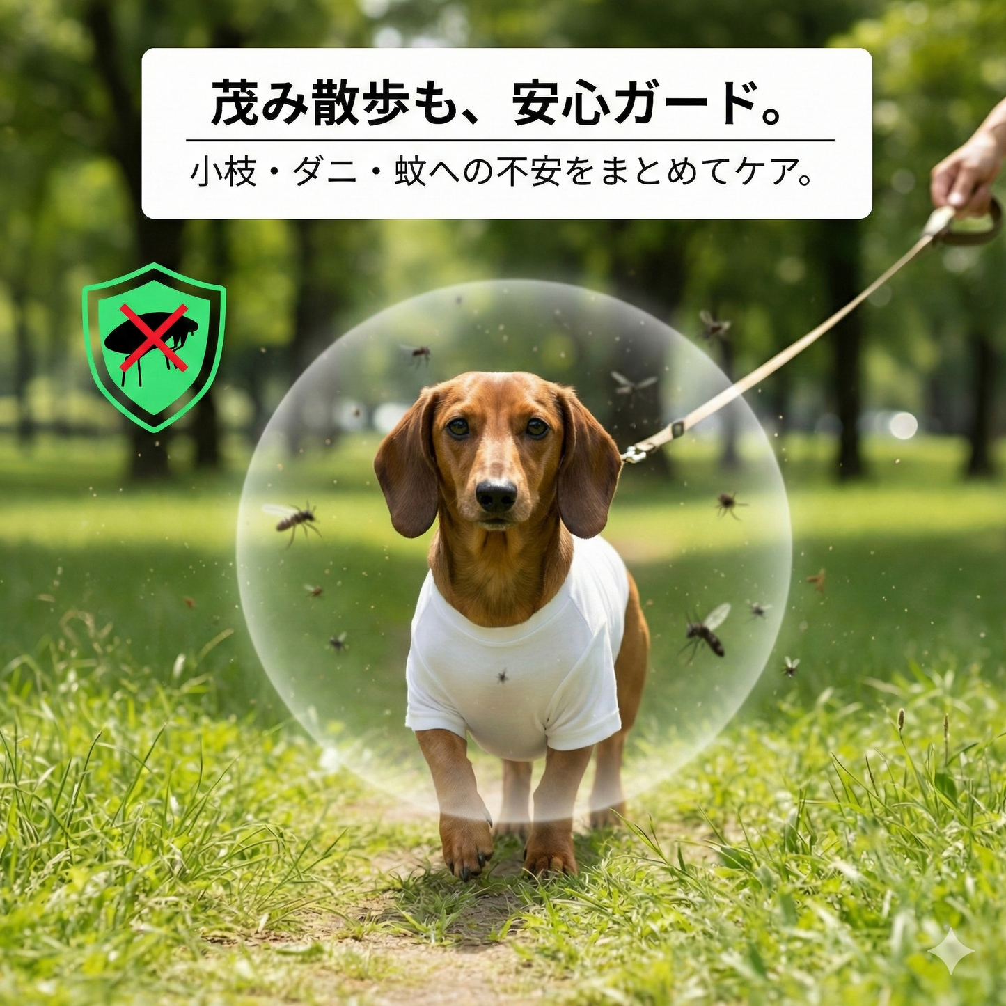 THE DOG FACE Dáchhun デザイン 犬用Tシャツ ワンちゃんTシャツ 犬服 柴犬Tシャツ｜綿100%・小型～中型犬