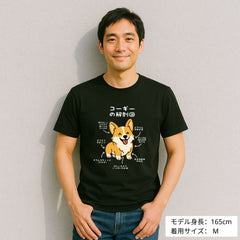 犬 tシャツ 犬イラスト コーギーの解剖図｜アダルト&キッズサイズ
