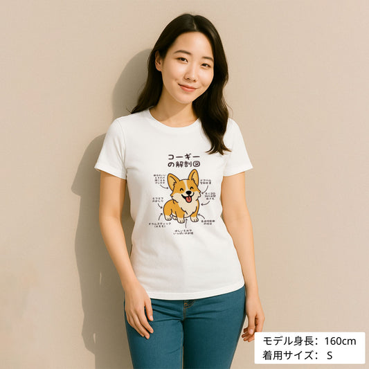 犬 tシャツ 犬イラスト コーギーの解剖図｜アダルト&キッズサイズ