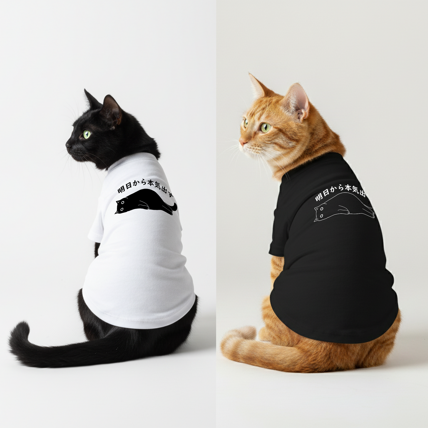 【犬種選べる・名前入れ可能】明日から本気だす 犬用Tシャツ 犬服｜綿100%・小型～中型犬
