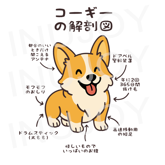 犬トート バッグ 犬 エコ バッグ コーギーの解剖図