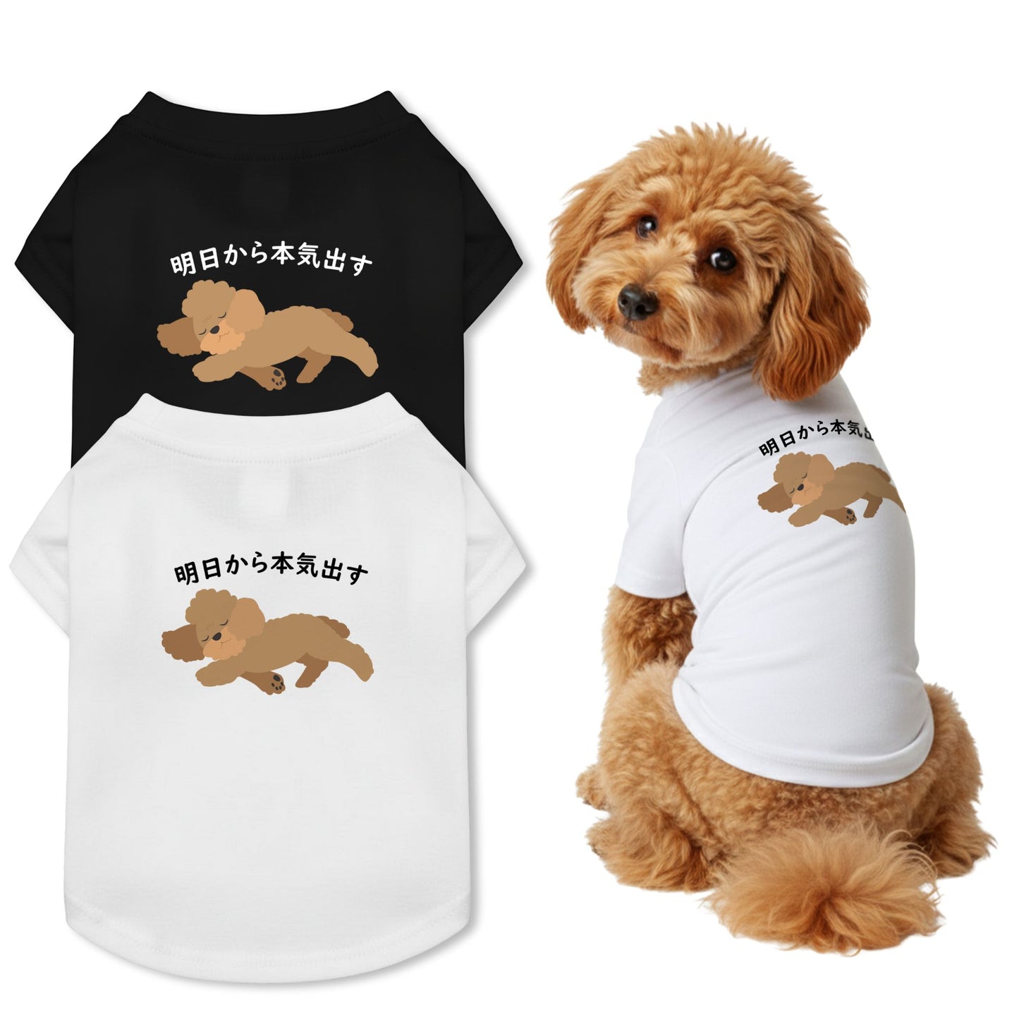 【犬種選べる・名前入れ可能】明日から本気だす 犬用Tシャツ 犬服｜綿100%・小型～中型犬