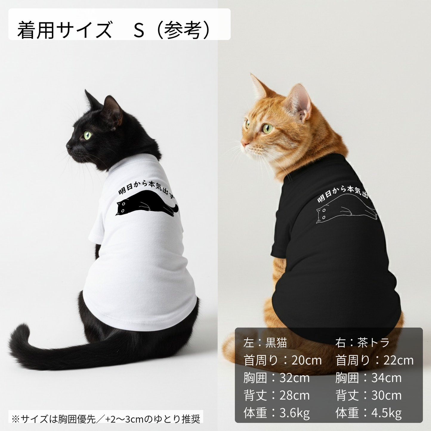 【犬種選べる・名前入れ可能】明日から本気だす 犬用Tシャツ 犬服｜綿100%・小型～中型犬