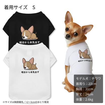 【犬種選べる・名前入れ可能】明日から本気だす 犬用Tシャツ 犬服｜綿100%・小型～中型犬