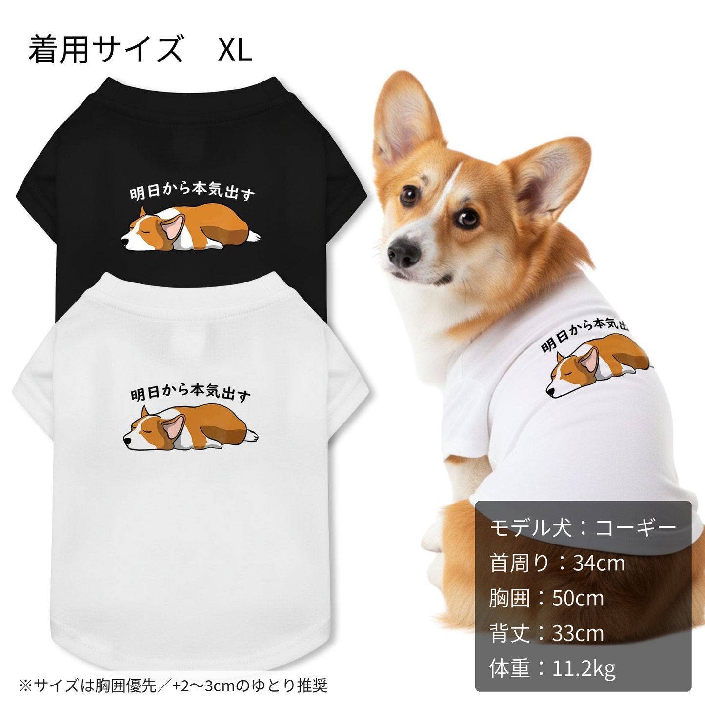【犬種選べる・名前入れ可能】明日から本気だす 犬用Tシャツ 犬服｜綿100%・小型～中型犬