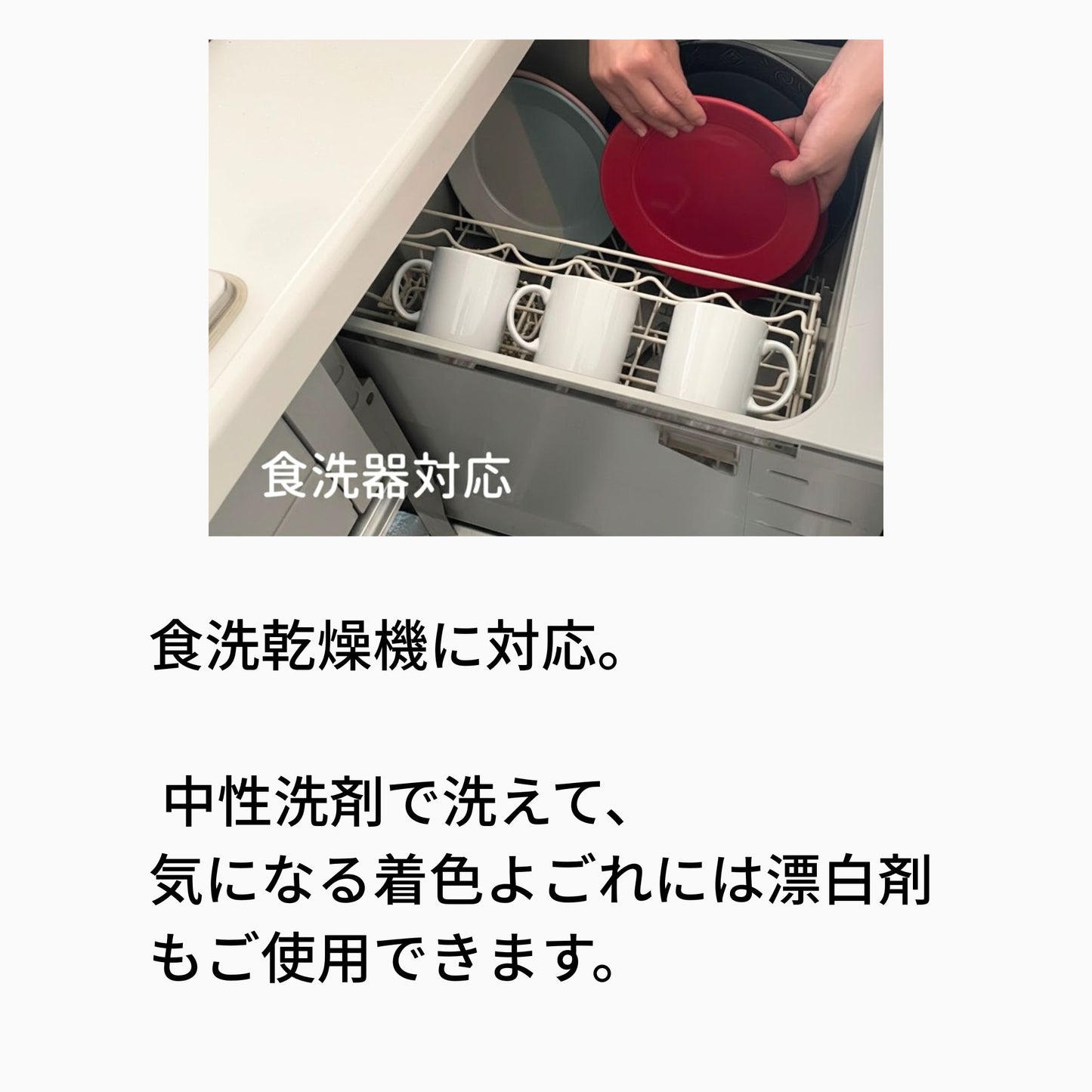 名入れ・写真アート変換｜うちの子マグカップ／inujoy