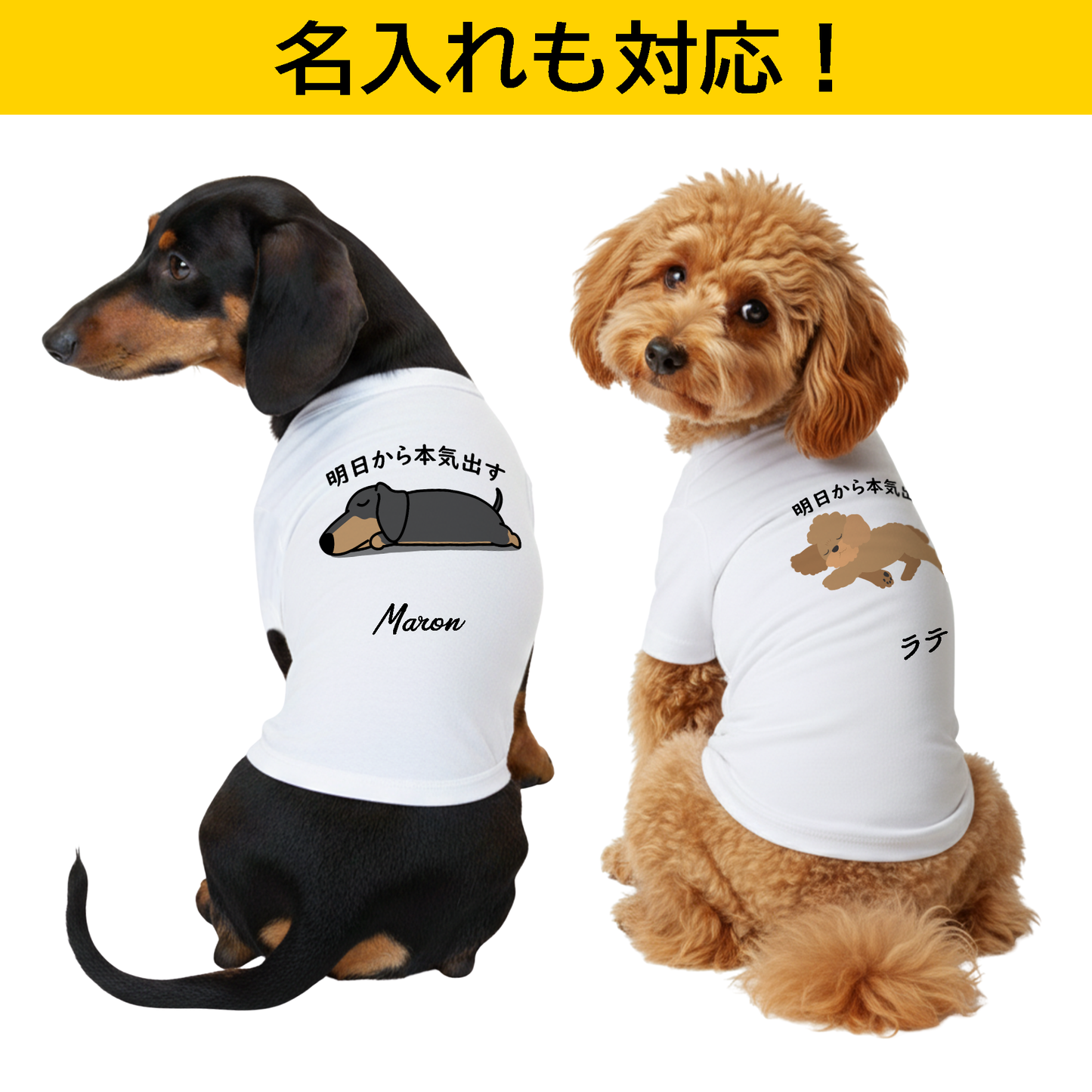 【犬種選べる・名前入れ可能】明日から本気だす 犬用Tシャツ 犬服｜綿100%・小型～中型犬