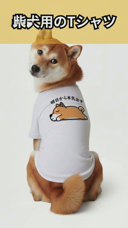 【犬種選べる・名前入れ可能】明日から本気だす 犬用Tシャツ 犬服｜綿100%・小型～中型犬