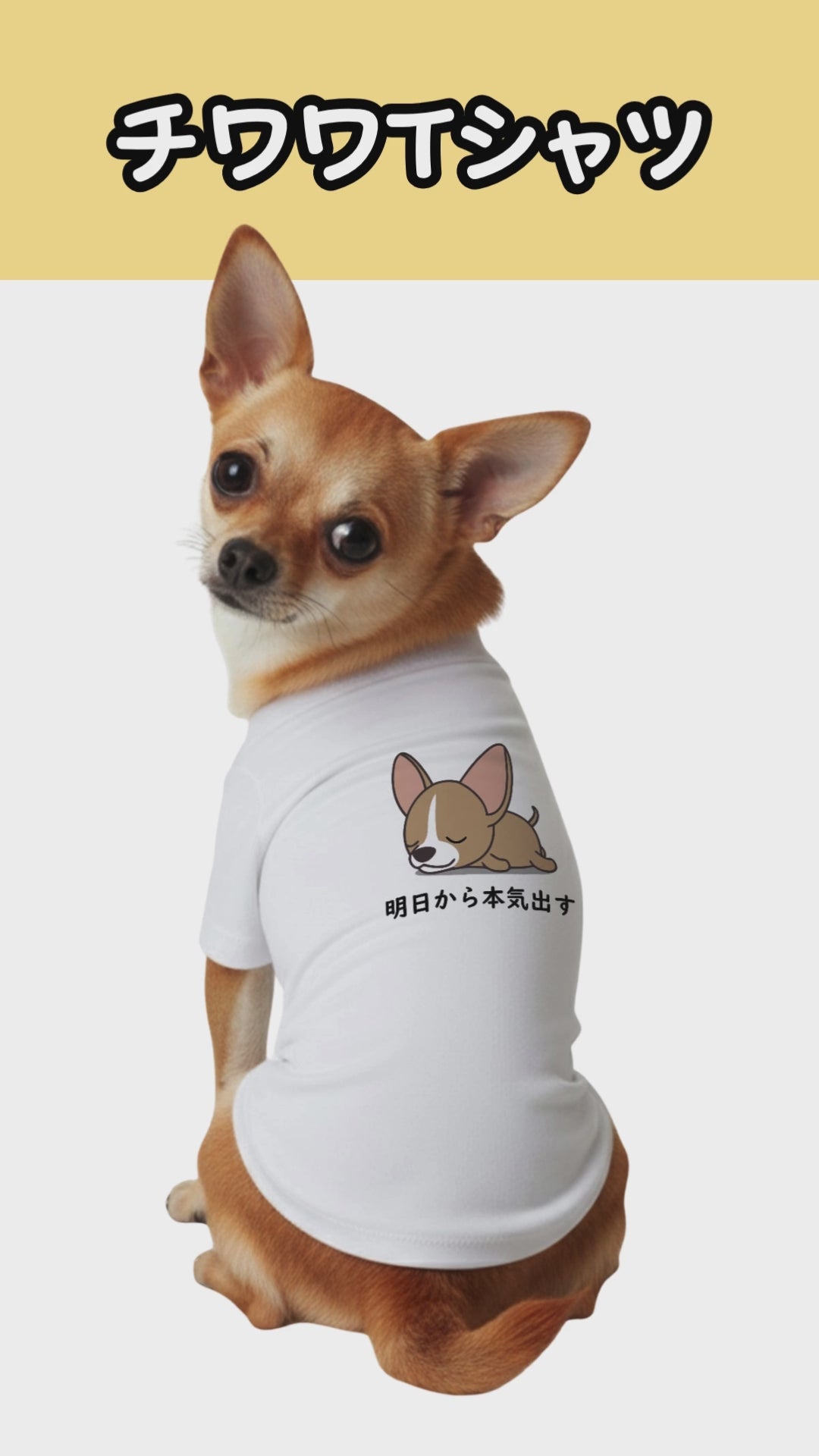 犬種選べる・名前入れ可能】明日から本気だす 犬用Tシャツ 犬服｜綿100