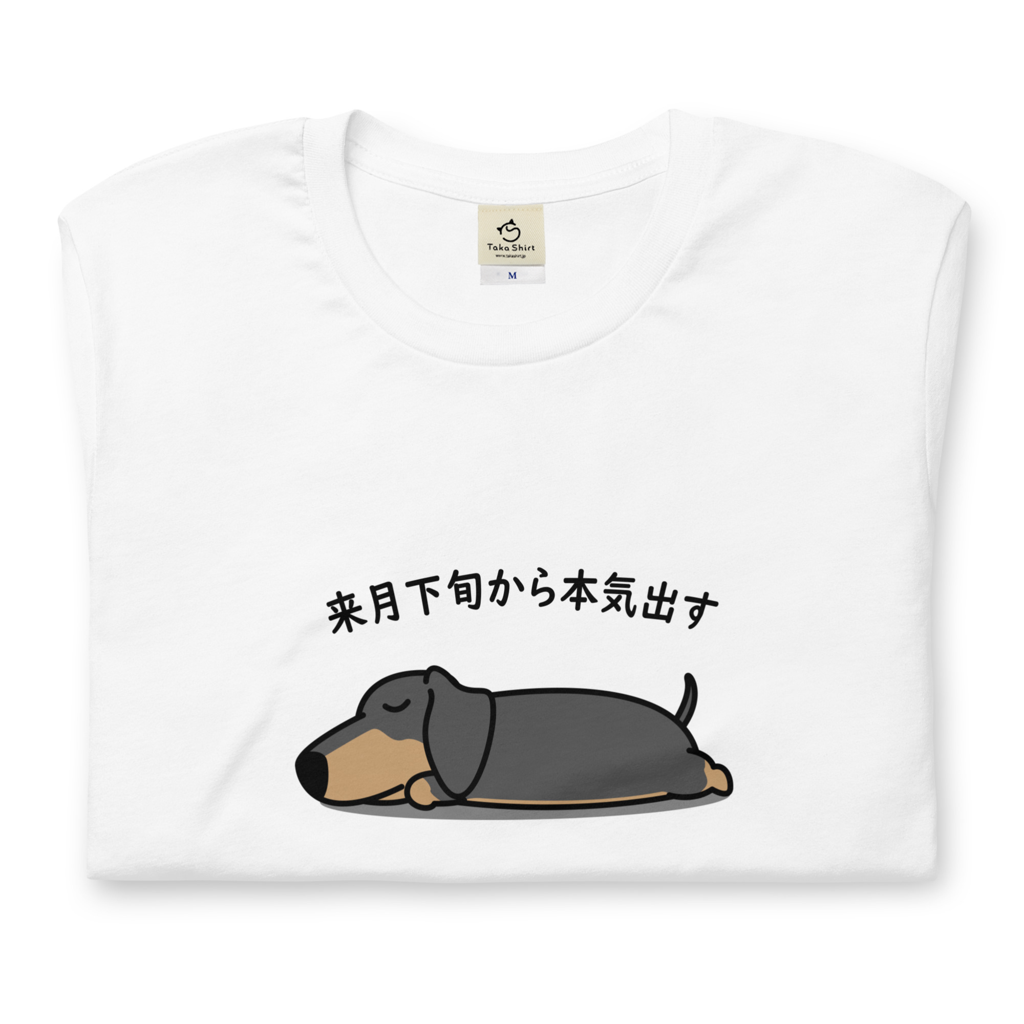 ✨オンライン限定✨☺️新品・タグ付き☺️☆2024 いぬの日おさんぽ ✨オンライン限定✨☺️新品・タグ付き☺️☆2024 いぬの日おさんぽ